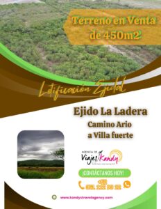 WhatsApp Image 2025-10-11 at 1.05.57 PM