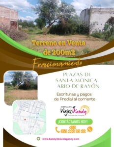 WhatsApp Image 2025-10-11 at 3.01.14 PM